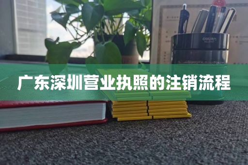 广东深圳营业执照的注销流程