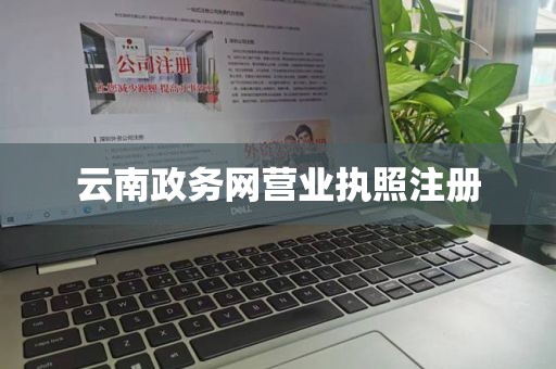 云南政务网营业执照注册