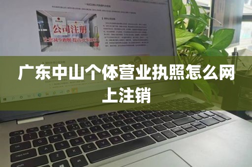 广东中山个体营业执照怎么网上注销