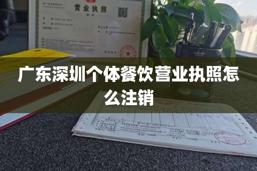 广东深圳个体餐饮营业执照怎么注销