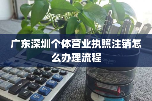 广东深圳个体营业执照注销怎么办理流程