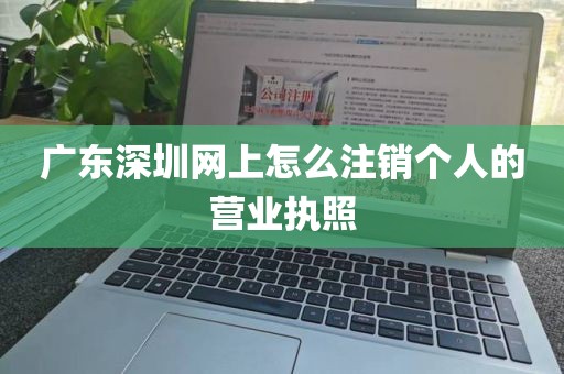 广东深圳网上怎么注销个人的营业执照