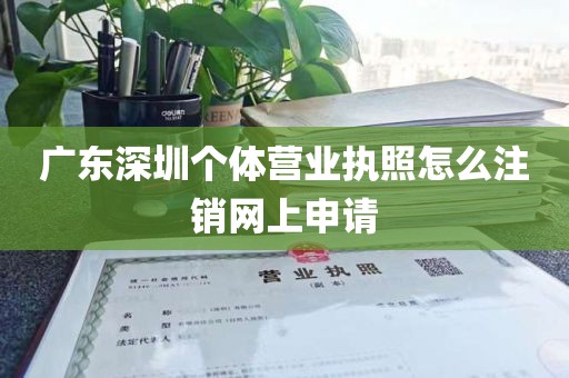 广东深圳个体营业执照怎么注销网上申请