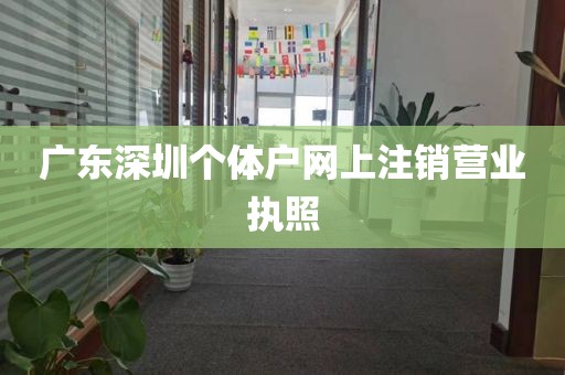 广东深圳个体户网上注销营业执照