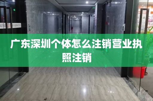 广东深圳个体怎么注销营业执照注销