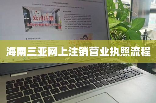 海南三亚网上注销营业执照流程