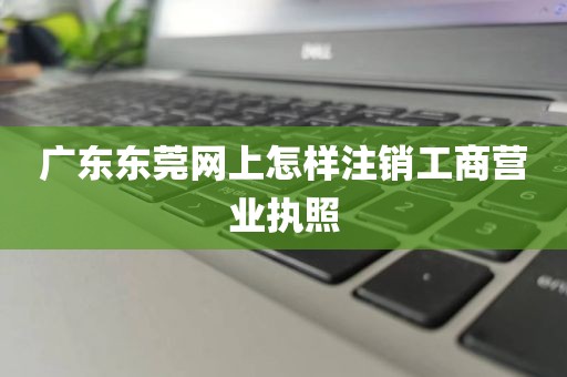 广东东莞网上怎样注销工商营业执照