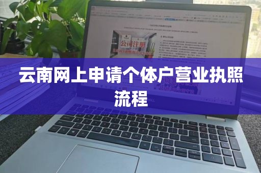 云南网上申请个体户营业执照流程