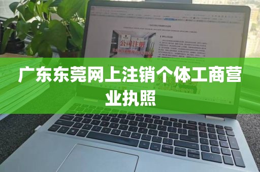 广东东莞网上注销个体工商营业执照