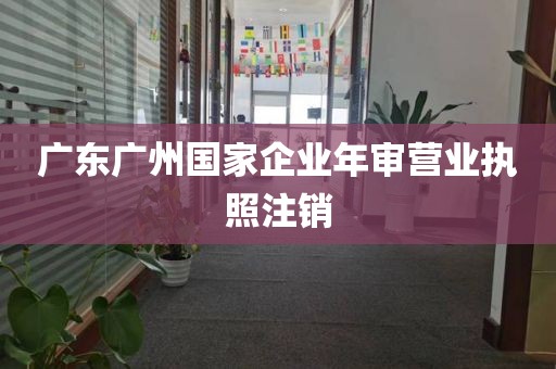 广东广州国家企业年审营业执照注销