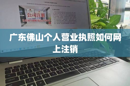 广东佛山个人营业执照如何网上注销