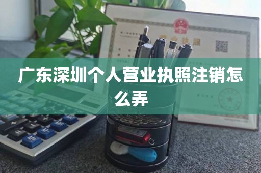 广东深圳个人营业执照注销怎么弄