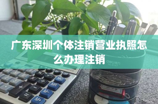 广东深圳个体注销营业执照怎么办理注销