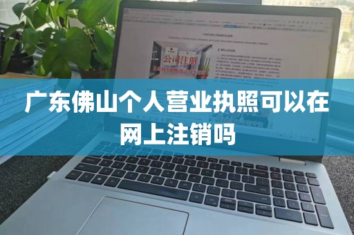 广东佛山个人营业执照可以在网上注销吗