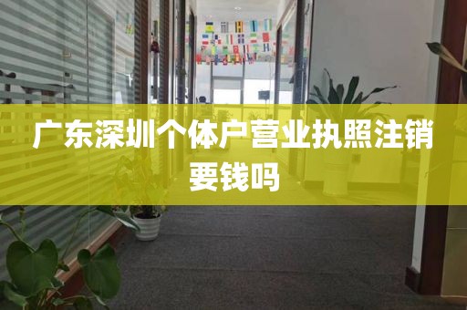 广东深圳个体户营业执照注销要钱吗