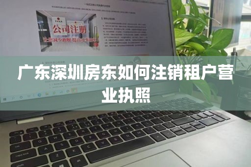 广东深圳房东如何注销租户营业执照