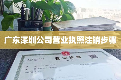 广东深圳公司营业执照注销步骤