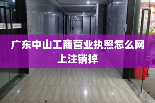 广东中山工商营业执照怎么网上注销掉
