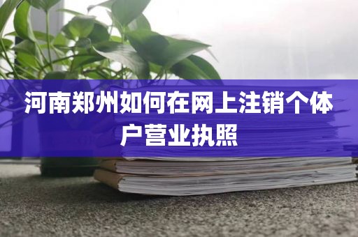 河南郑州如何在网上注销个体户营业执照