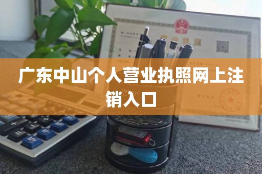 广东中山个人营业执照网上注销入口
