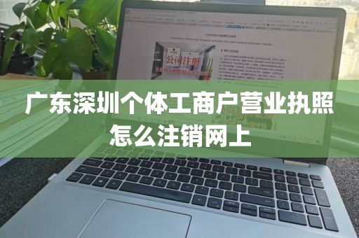 广东深圳个体工商户营业执照怎么注销网上