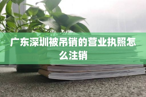 广东深圳被吊销的营业执照怎么注销