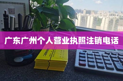 广东广州个人营业执照注销电话