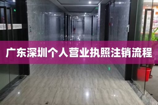 广东深圳个人营业执照注销流程