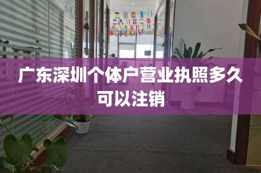 广东深圳个体户营业执照多久可以注销
