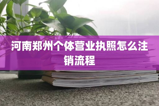 河南郑州个体营业执照怎么注销流程
