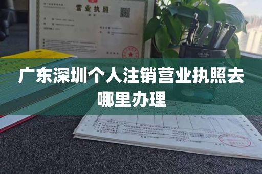 广东深圳个人注销营业执照去哪里办理