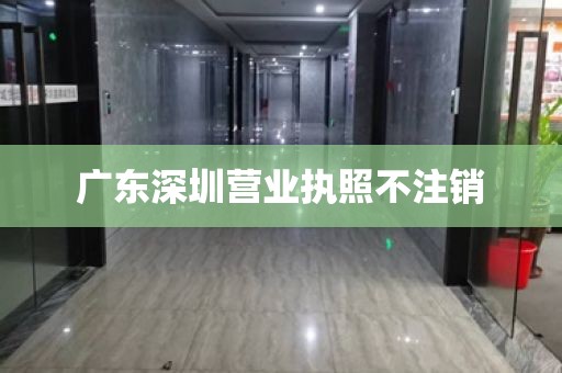 广东深圳营业执照不注销