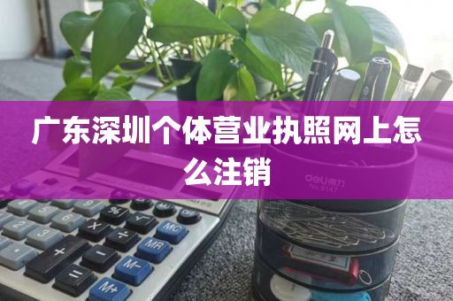 广东深圳个体营业执照网上怎么注销