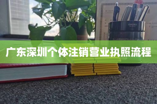 广东深圳个体注销营业执照流程