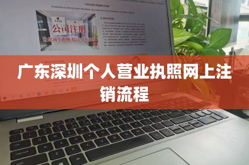广东深圳个人营业执照网上注销流程