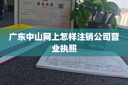 广东中山网上怎样注销公司营业执照