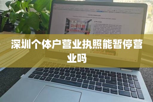 深圳个体户营业执照能暂停营业吗