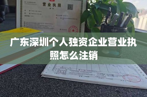 广东深圳个人独资企业营业执照怎么注销