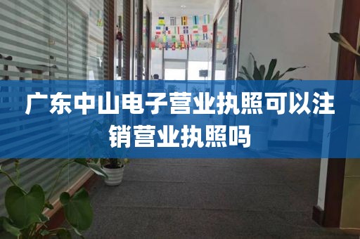 广东中山电子营业执照可以注销营业执照吗