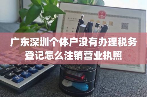 广东深圳个体户没有办理税务登记怎么注销营业执照