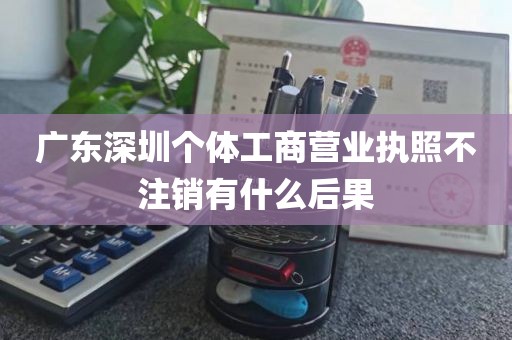 广东深圳个体工商营业执照不注销有什么后果