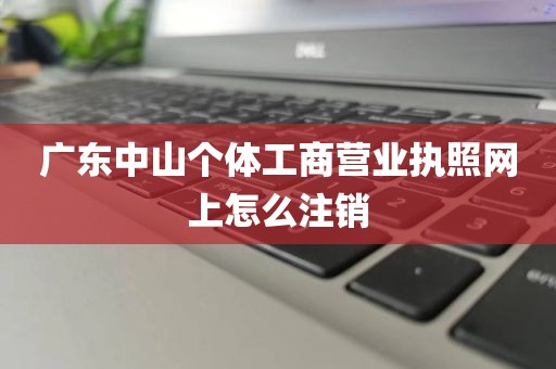 广东中山个体工商营业执照网上怎么注销