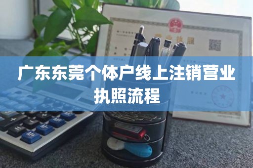 广东东莞个体户线上注销营业执照流程
