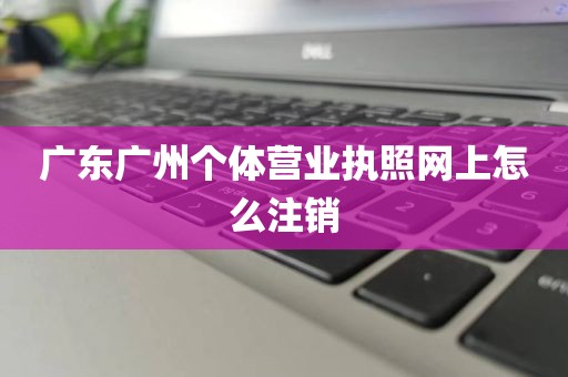 广东广州个体营业执照网上怎么注销