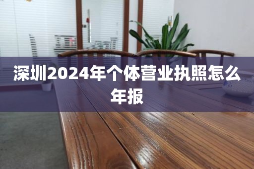 深圳2024年个体营业执照怎么年报