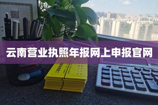 云南营业执照年报网上申报官网