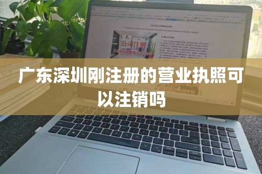广东深圳刚注册的营业执照可以注销吗
