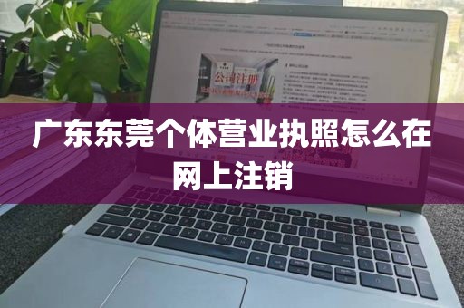 广东东莞个体营业执照怎么在网上注销