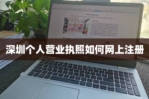 深圳个人营业执照如何网上注册
