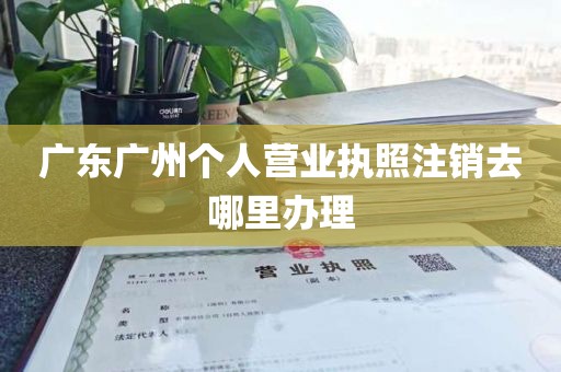 广东广州个人营业执照注销去哪里办理